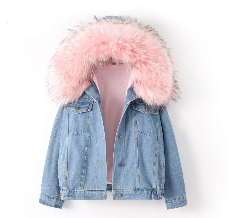 2026 Autumn/Winter New Korean Style Fleece-Lined Thick Harajuku Lamb Wool Denim Jacket for Women with Large Fur Collar Versatile Cotton Coat