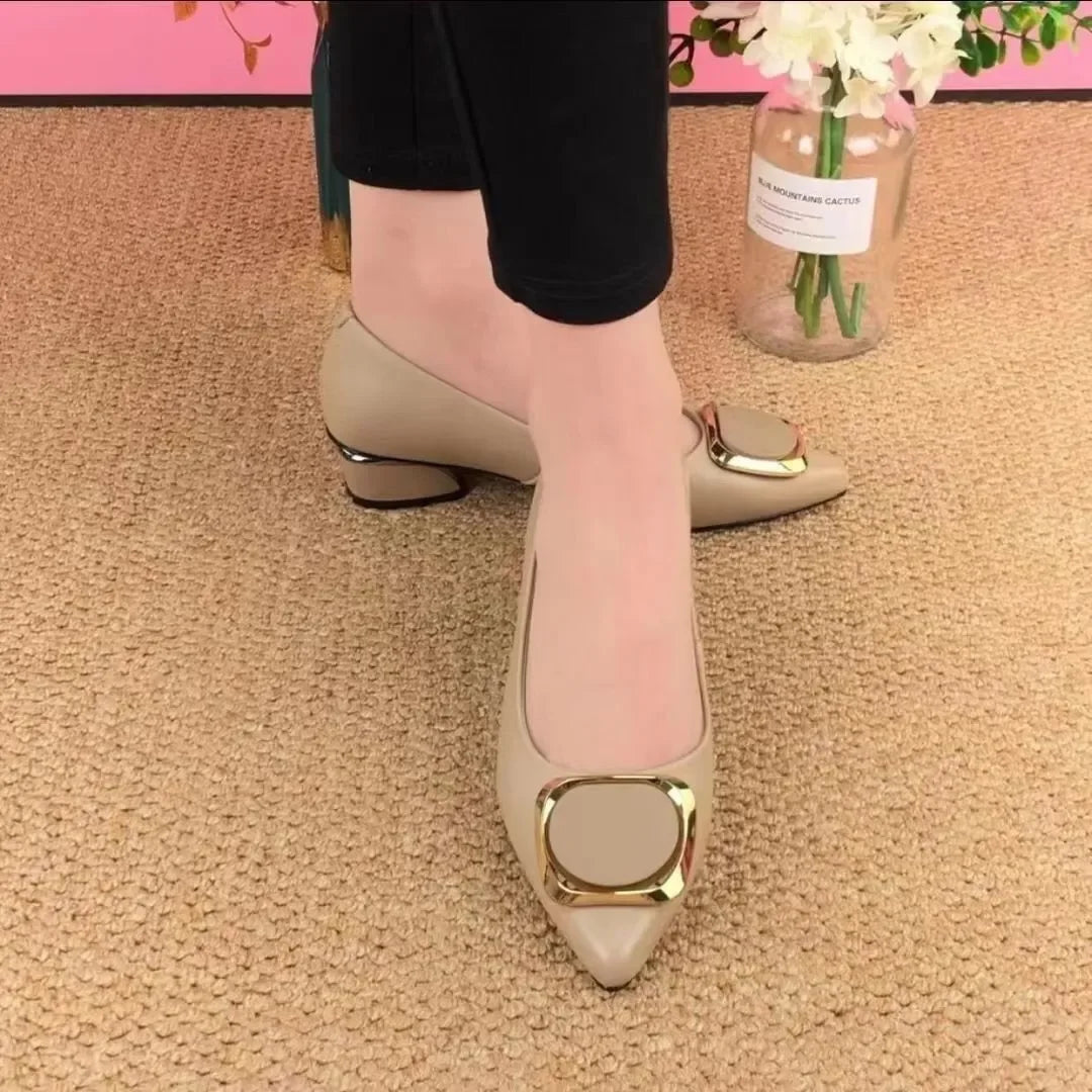 Women Cute Sweet Light Weight Brown Slip on Square Heel Shoes Lady Casual Comfort Spring Elegant Beautiful High Pumps E1237