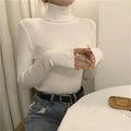 Women Heaps Collar Turtleneck Sweaters Autumn Winter Slim Pullover Women Basic Tops Casual Soft Knit Sweater Soft Warm Jumper