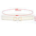 Belts For Women Elastic Band Wide Belts Down Coat Waist Belt Female Buckle Cummerbands Waistband Corset Decoration Accessories