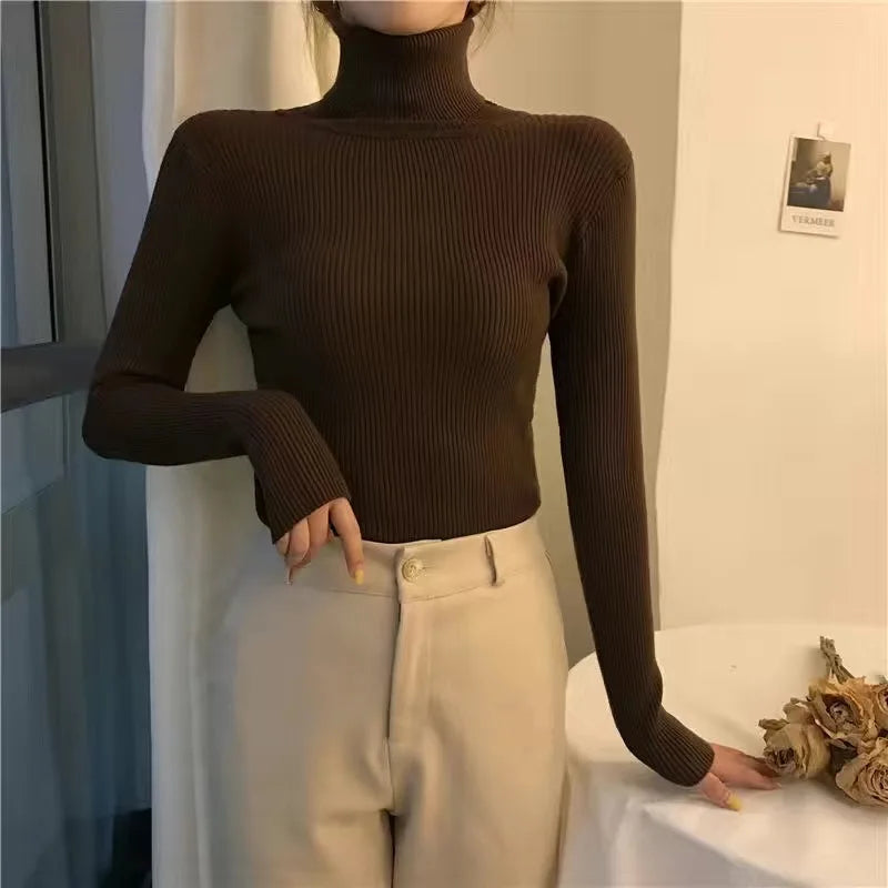 Women Heaps Collar Turtleneck Sweaters Autumn Winter Slim Pullover Women Basic Tops Casual Soft Knit Sweater Soft Warm Jumper